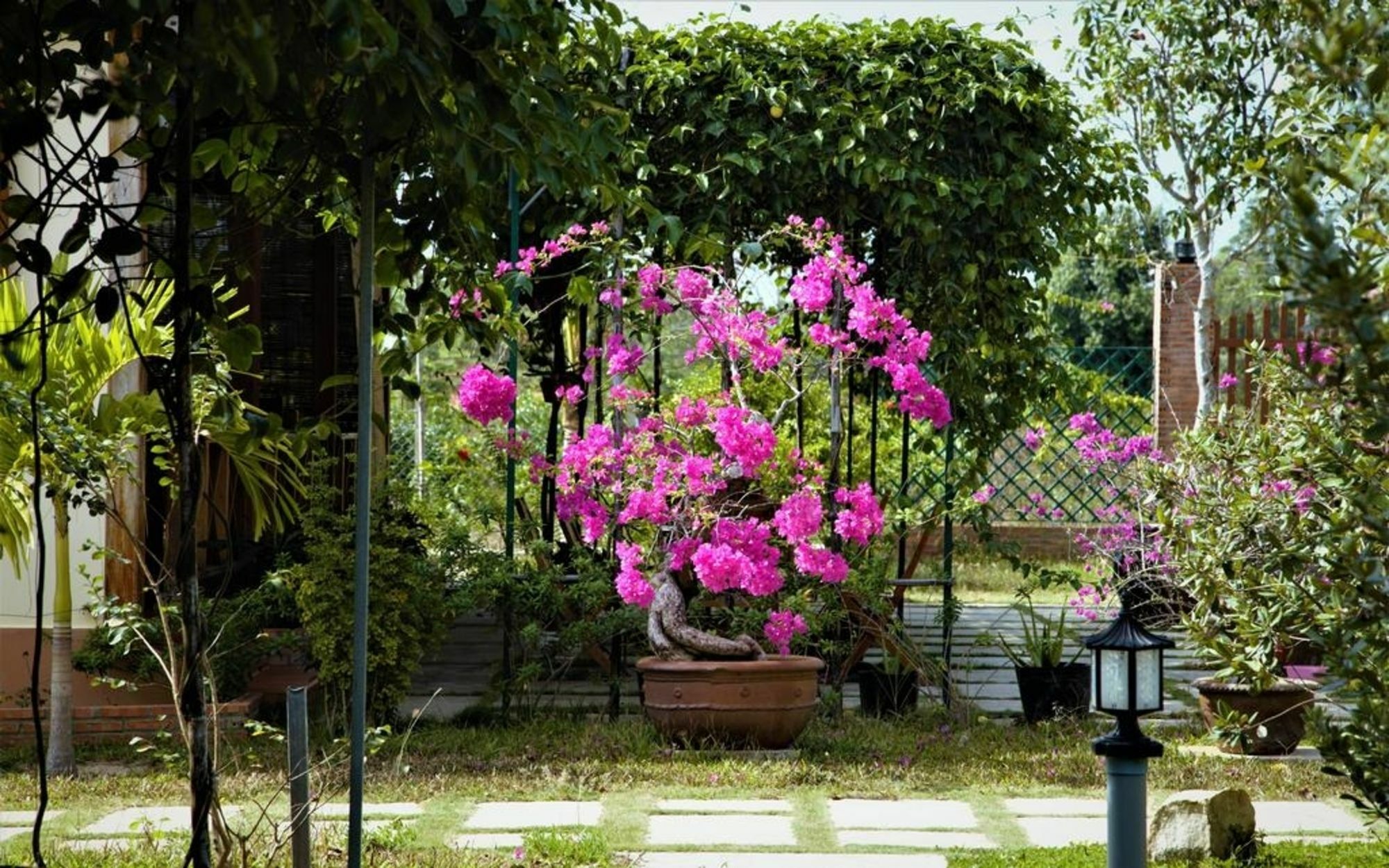 Spring Garden Homestay Duong Dong Exterior foto