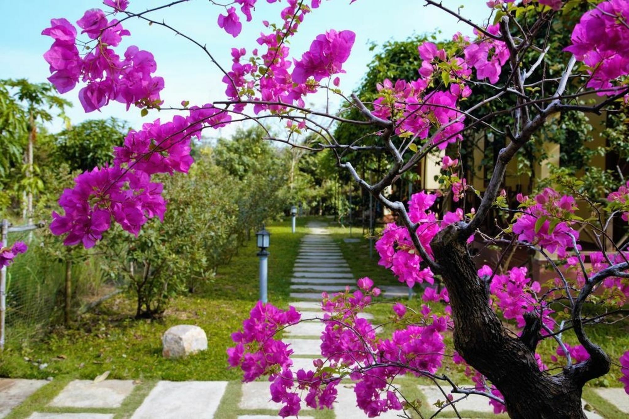 Spring Garden Homestay Duong Dong Exterior foto