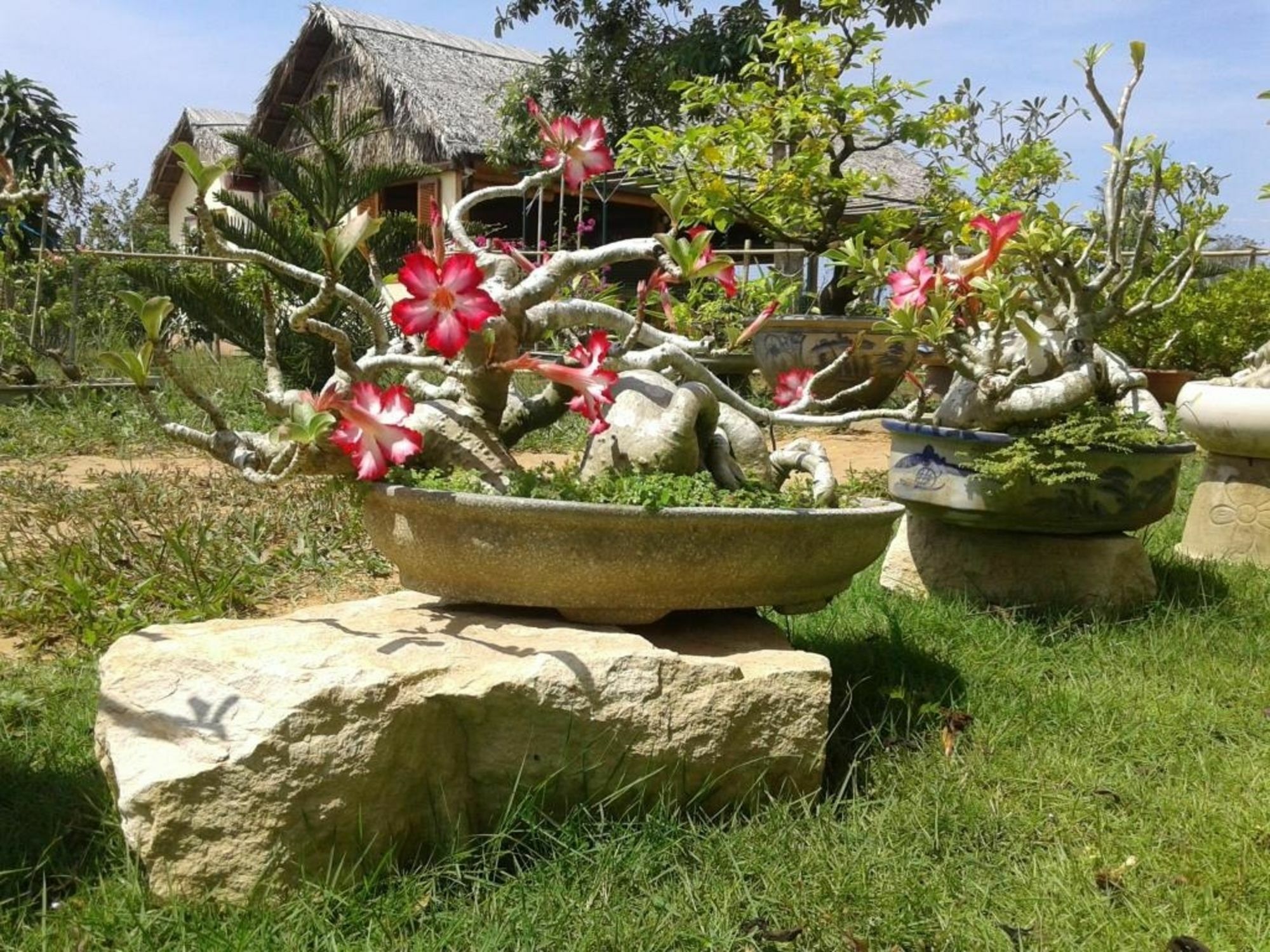 Spring Garden Homestay Duong Dong Exterior foto