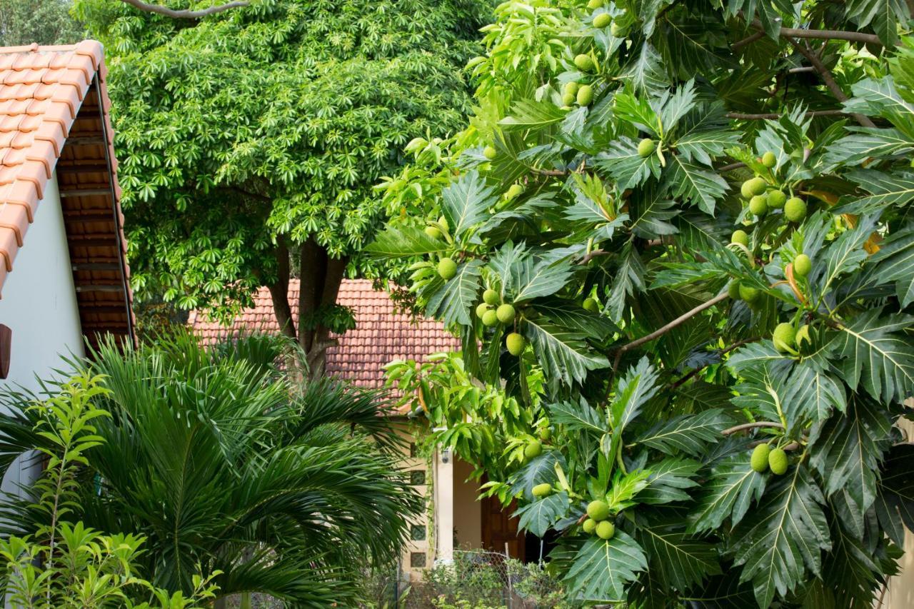 Spring Garden Homestay Duong Dong Exterior foto