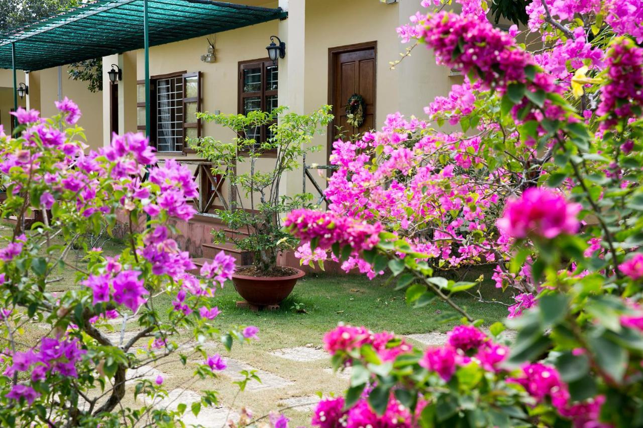 Spring Garden Homestay Duong Dong Exterior foto
